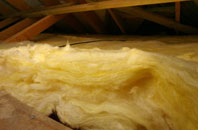 Whiteleaved Oak pitch roof insulation