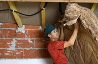 Whiteleaved Oak tapered roof insulation